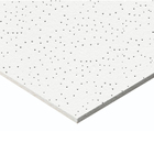 Placa de Forro Mineral Acústico Branco 13mm 125x62,5cm Filigran Knauf Caixa com 12 Peças