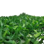 Placa Jardim Vertical Folhagem Artificial 60x40 Muro Inglês