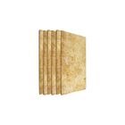 Placa Lã De Vidro Padrão 1200 X 600 X 25 Mm - 60kg/m3 - 6 Uni