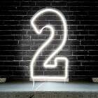 Placa Luminoso Neon De Led - 50cm - Branco Frio Número Dois
