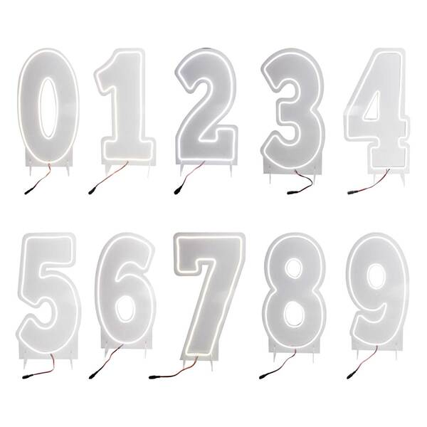 Placa Luminoso Neon De Led - 50cm - Branco Frio Número Oito