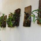 Placa Nutricoco Para Jardim Vertical (80x20x3) Nutriplan