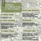 Placa Para Jardim Vertical Natural Variado Preservado 50x50