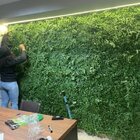 Placa Para Jardim Vertical Preservado Natural 50x50cm