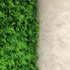 Placa Parede 3d Decoração Jardim Amazonia Varanda 50x50cm