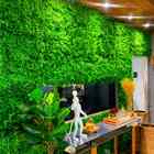 Placa Parede Verde Samambaia Muro Inglês Kit 12 Unid