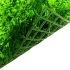 Placa Parede Verde Samambaia Muro Inglês Kit 12 Unid