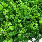 Placa Parede Verde Samambaia Muro Inglês Kit 12 Unid