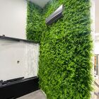 Placa Planta Jardim Vertical Casa Folhagem Verde Sala Inovaçã