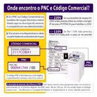 Placa Potência Lavadora Electrolux - Lp12q