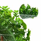 Placas De 2,5m² Para Jardim Vertical Artificial De Luxo Em Es