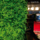 Placas De Grama Artificial Para Decoração De Parede Amazonia