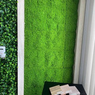 Placas De Grama Artificial Para Decoração De Parede Musgo