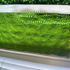 Placas De Grama Artificial Para Decoração De Parede Musgo