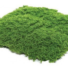 Placas De Grama Artificial Para Decoração De Parede Musgo