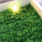 Placas De Grama Artificial Para Decoração Parede Amazonia