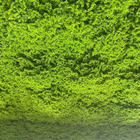 Placas De Grama Artificial Para Decorações De Parede Musgo