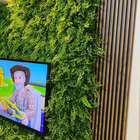 Placas De Grama Artificial Para Jardim Decoração De Paredes M