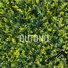 Placas De Grama Artificial Para Parede Decoração Outono