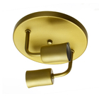 Plafon 1602 Dourado Fosco 2L