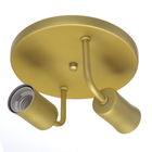 Plafon 1602 Dourado Fosco 2L