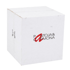 Plafon 1 Lâmpada Dourado Metal Aramado Pantoja&Carmona