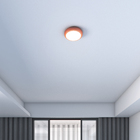 Plafon 2 Lâmpadas Cobre Metal e Plástico 4052 Pantoja&Carmona