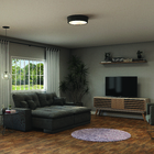 Plafon 3 lâmpadas Preto Alumínio Nevada Attena