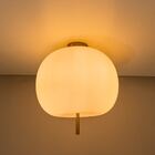 Plafon Big Apple Com Globo Leitoso + Led G9 5w Branco Frio 11