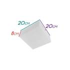 Plafon De Sobrepor Em Acrílico 20x20 + 2 Led A60 Branco Frio