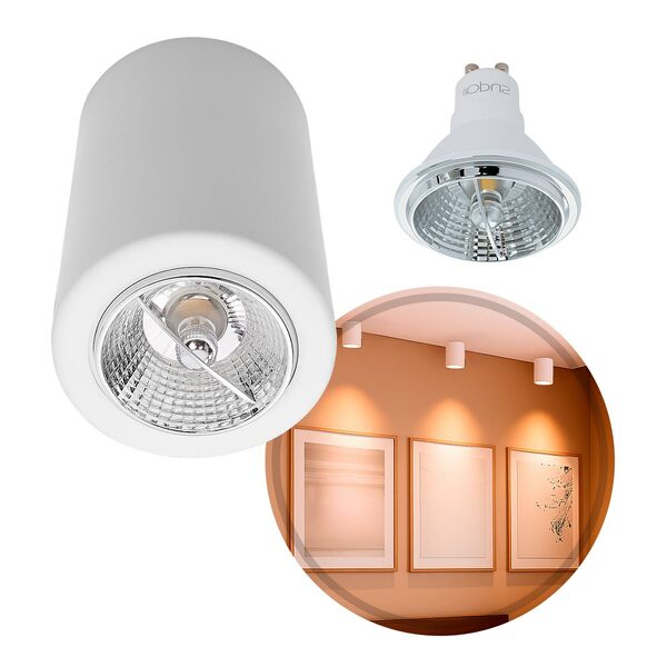 Plafon De Sobrepor Redondo Foco Fixo Branco + Led Ar70 Br. Qu