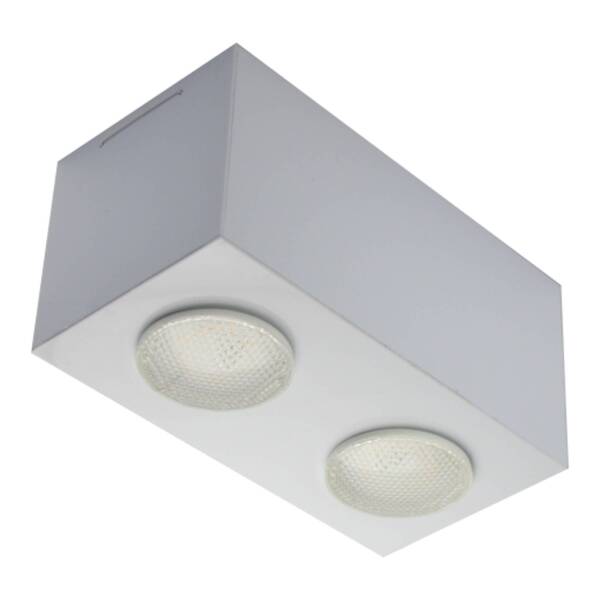 Plafon de Sobrepor Retangular Granada com Difusor Branco para  02 Lâmpadas Par 20 ou Bulbo Led E-27  A60 9W- 21X11 cm