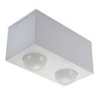 Plafon de Sobrepor Retangular Granada com Difusor Branco para  02 Lâmpadas Par 20 ou Bulbo Led E-27  A60 9W- 21X11 cm