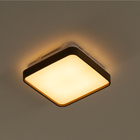 Plafon Led 12w Branco Quente Metal Acrílico Amadeirado 28cm S