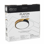 Plafon LED Redondo Preto 23cm Madeira Inspiration Hevvy