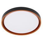 Plafon LED Redondo Preto e Dourado 41cm Plástico e Aço Montana Hevvy