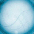 Plafon Murano Vidro 30cm 2 Lâmpadas E-27 Max 60w Azul Garra B