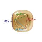 Plafon Ozzy Âmbar 50cm Starlux Lt-002l + 6x Led G9 5w Branco