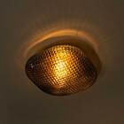 Plafon Ozzy Smoky Metal E Vidro Lt-001s + 2 Led G9 5w Branco