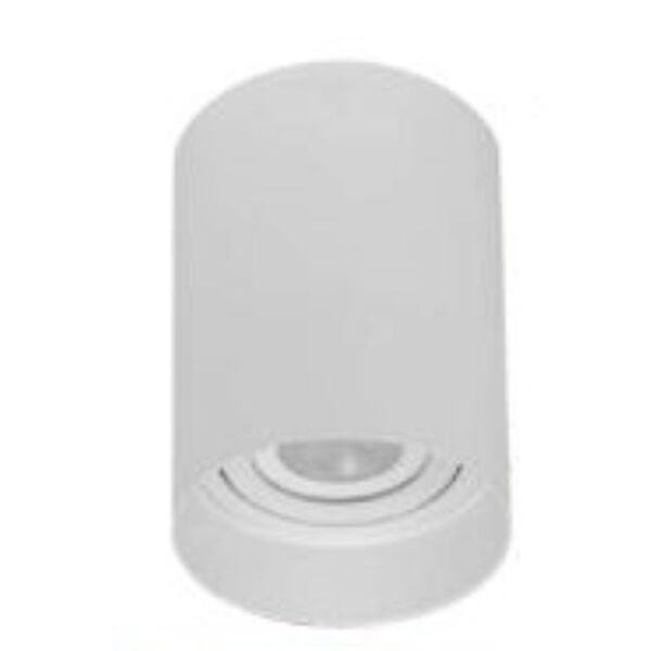 Plafon Par20 Simples Cilíndrico Branco Em Abs 10,5x15cm