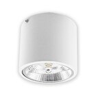Plafon Sobrepor Redondo Branco 1 Foco + Led Ar111 Br. Frio St