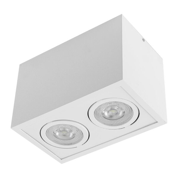 Plafon Spot Sobrepor Box Branco Orluce + 2x Led Par20 Br.frio