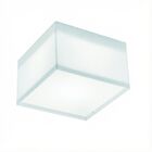 Plafon White Led Acrílico Quadr. 1x10w 220v 6400k 12 4x12 4cm