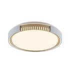 Plafon Young Led Blumenau Branco