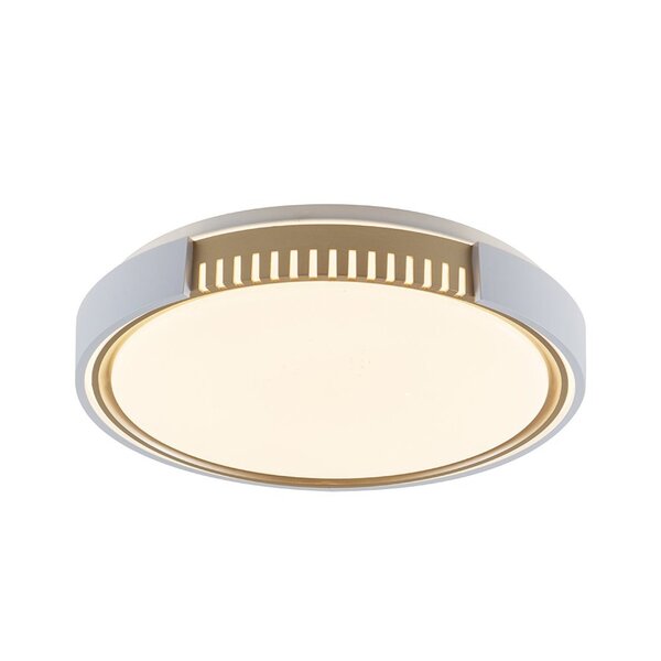 Plafon Young Led Blumenau Branco Leroy Merlin