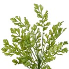 Planta Artifical Buquê Folhas 50cm Grillo