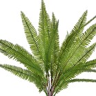 Planta Artifical Buquê Samambaia 48cm Grillo