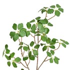 Planta Artifical Folhas 75cm Grillo