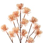 Planta Artifical Haste Licospermum 70cm Grillo