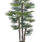 Planta Artificial A.palmeira Leque Real Toque C/pote X30 (ver
